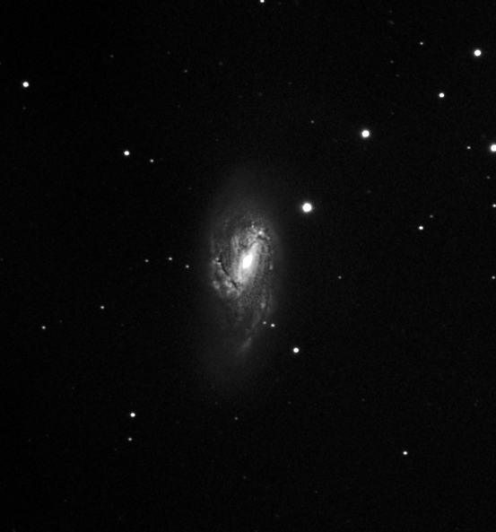 M66