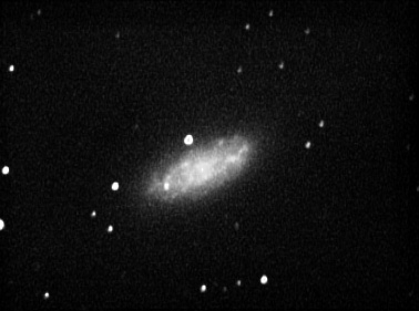 NGC 2976